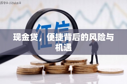 南召现金贷，便捷背后的风险与机遇