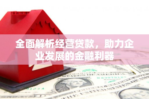 南召全面解析经营贷款，助力企业发展的金融利器