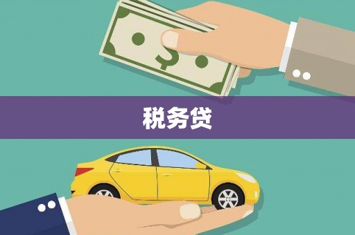 南召税务贷