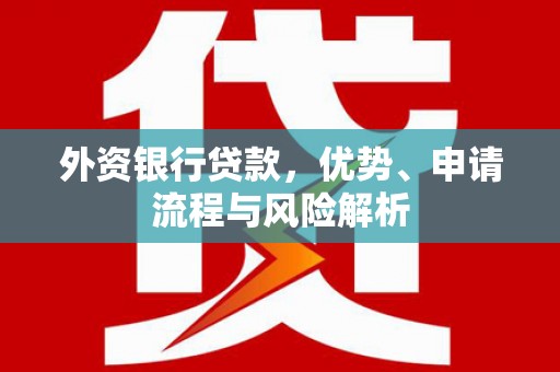 南召外资银行贷款，优势、申请流程与风险解析