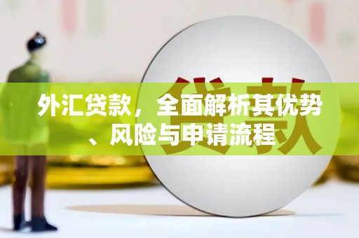 南召外汇贷款，全面解析其优势、风险与申请流程