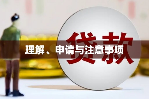 南召理解、申请与注意事项