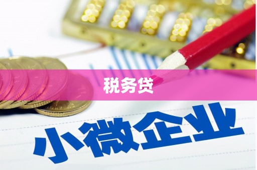 南召税务贷