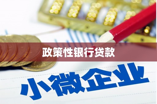 南召政策性银行贷款