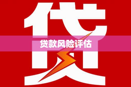 南召贷款风险评估