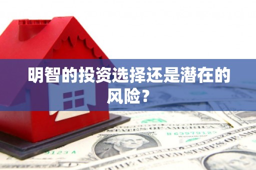 南召明智的投资选择还是潜在的风险？