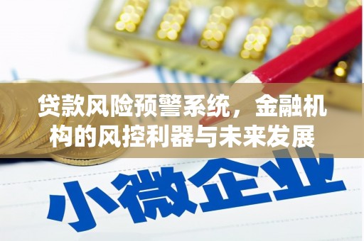 南召贷款风险预警系统，金融机构的风控利器与未来发展