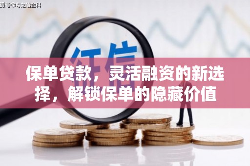 南召保单贷款，灵活融资的新选择，解锁保单的隐藏价值