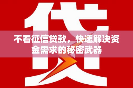 南召不看征信贷款，快速解决资金需求的秘密武器