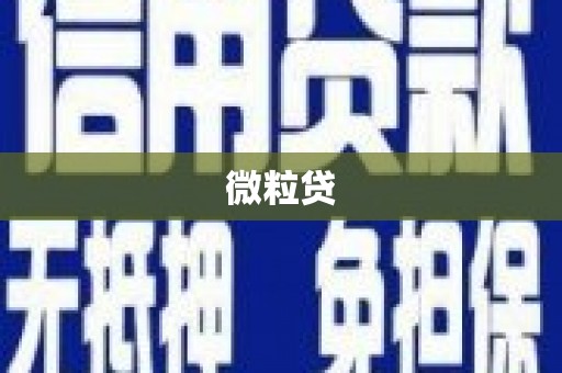 南召微粒贷