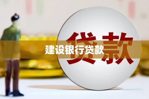 南召建设银行贷款