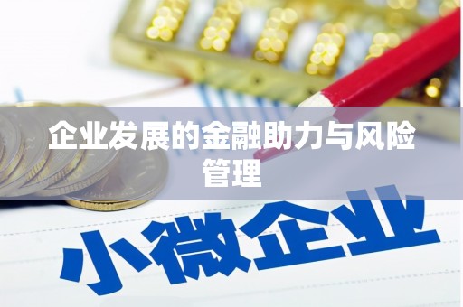 南召企业发展的金融助力与风险管理