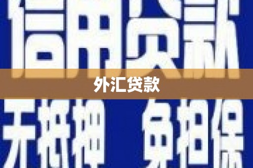 南召外汇贷款