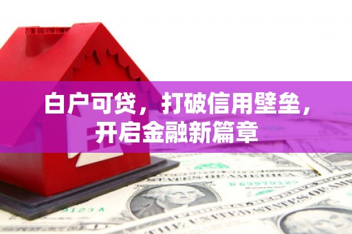 南召白户可贷，打破信用壁垒，开启金融新篇章