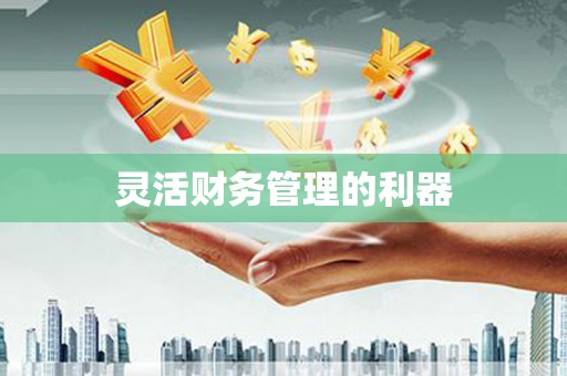 南召灵活财务管理的利器