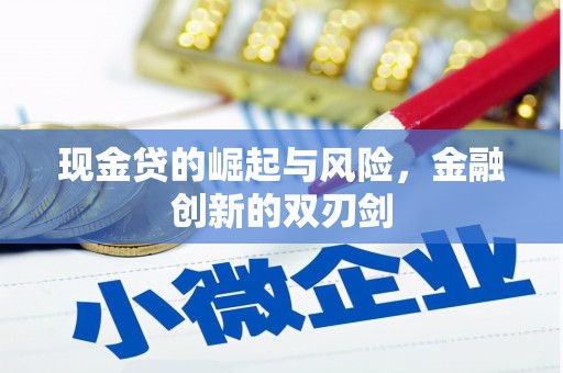 南召现金贷的崛起与风险，金融创新的双刃剑