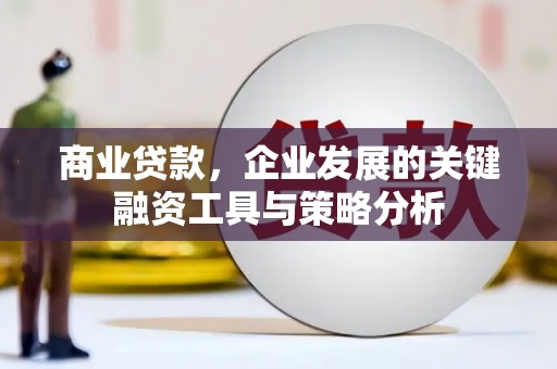 南召商业贷款，企业发展的关键融资工具与策略分析