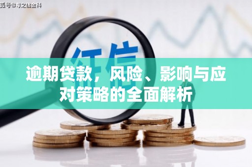 南召逾期贷款，风险、影响与应对策略的全面解析