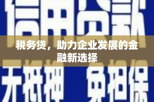 南召税务贷，助力企业发展的金融新选择