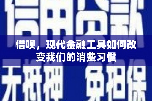 南召借呗，现代金融工具如何改变我们的消费习惯
