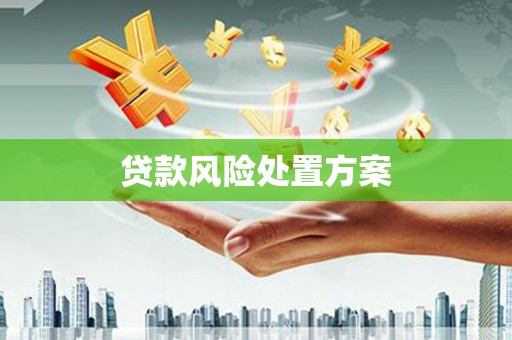 南召贷款风险处置方案