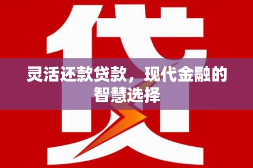 南召灵活还款贷款，现代金融的智慧选择