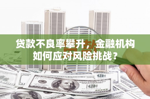 南召贷款不良率攀升，金融机构如何应对风险挑战？