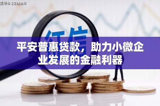 南召平安普惠贷款，助力小微企业发展的金融利器