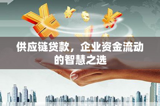 南召供应链贷款，企业资金流动的智慧之选