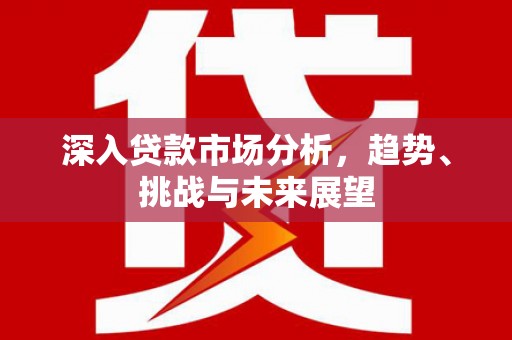 南召深入贷款市场分析，趋势、挑战与未来展望