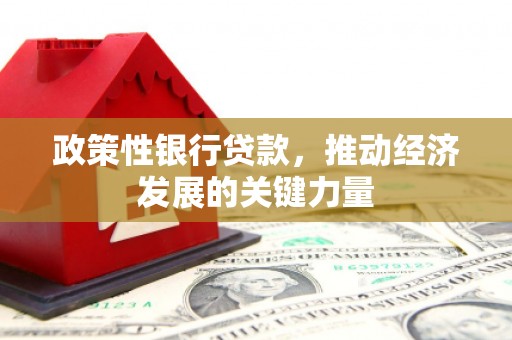 南召政策性银行贷款，推动经济发展的关键力量
