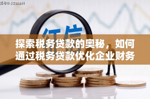 南召探索税务贷款的奥秘，如何通过税务贷款优化企业财务