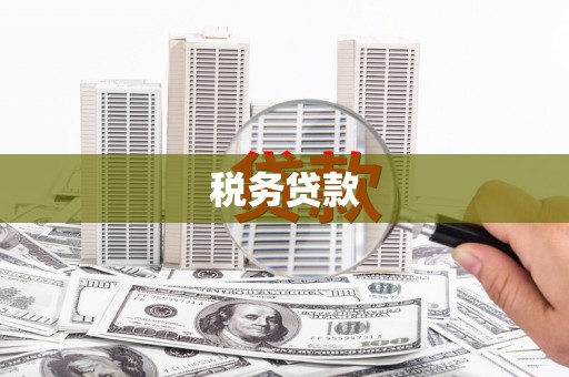 南召税务贷款