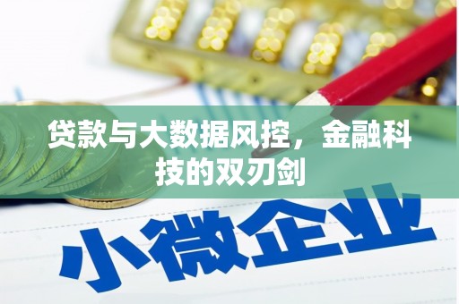 南召贷款与大数据风控，金融科技的双刃剑