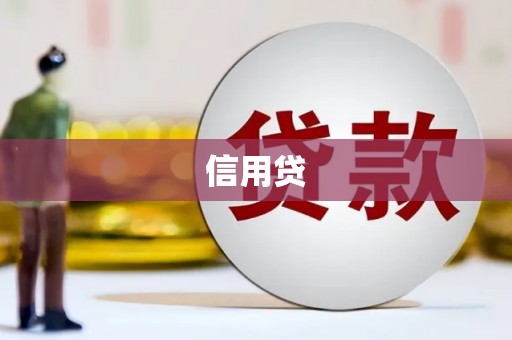 南召信用贷