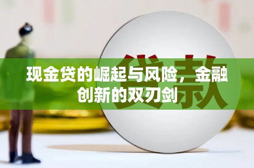 南召现金贷的崛起与风险，金融创新的双刃剑