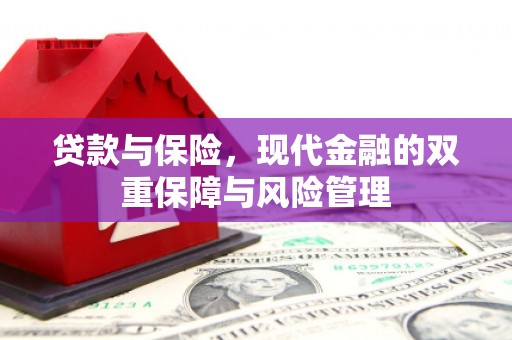 南召贷款与保险，现代金融的双重保障与风险管理