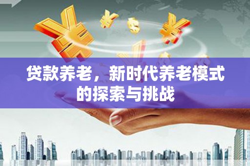 南召贷款养老，新时代养老模式的探索与挑战