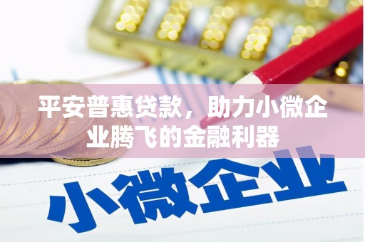 南召平安普惠贷款，助力小微企业腾飞的金融利器