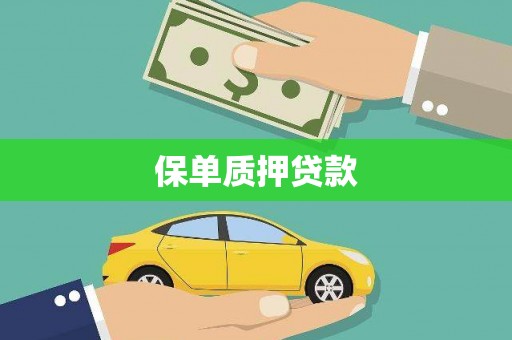 南召保单质押贷款