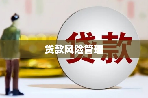 南召贷款风险管理