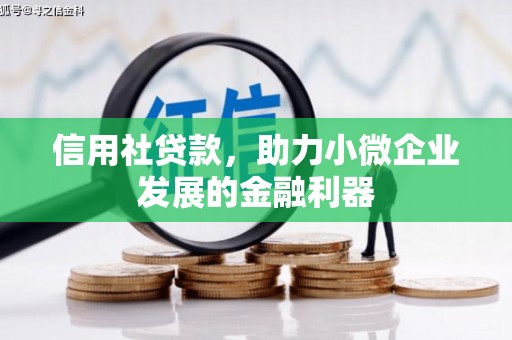南召信用社贷款，助力小微企业发展的金融利器