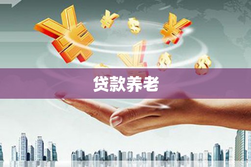南召贷款养老