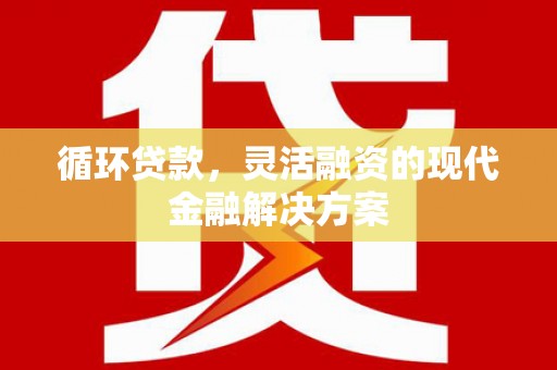 南召循环贷款，灵活融资的现代金融解决方案