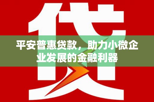 南召平安普惠贷款，助力小微企业发展的金融利器