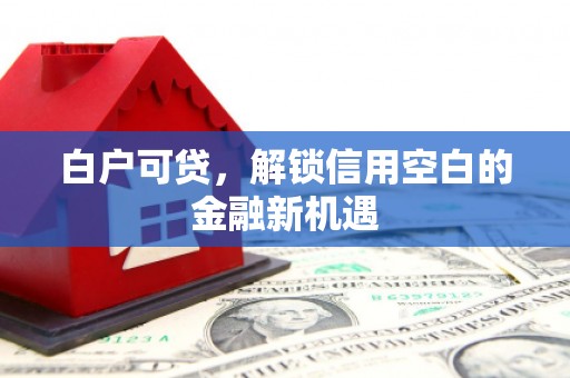 南召白户可贷，解锁信用空白的金融新机遇
