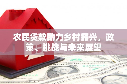 南召农民贷款助力乡村振兴，政策、挑战与未来展望