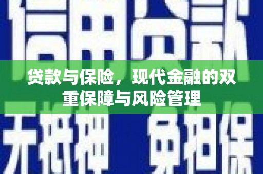 南召贷款与保险，现代金融的双重保障与风险管理