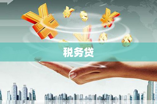 南召税务贷