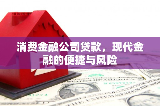 南召消费金融公司贷款，现代金融的便捷与风险